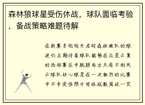 森林狼球星受伤休战，球队面临考验，备战策略难题待解