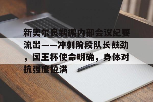 新奥尔良鹈鹕内部会议纪要流出——冲刺阶段队长鼓劲，国王杯使命明确，身体对抗强度拉满的简单介绍-爱游戏平台